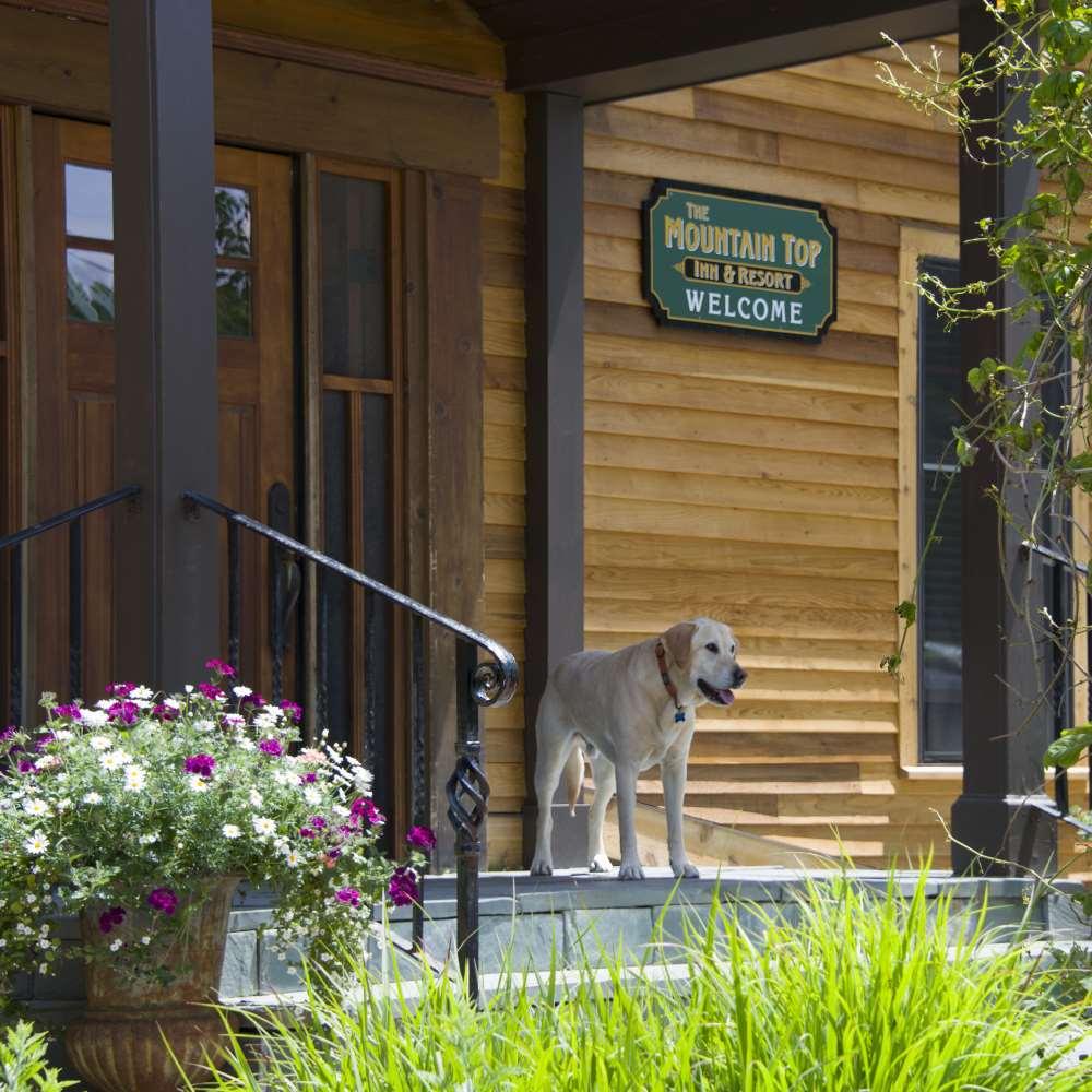 The Mountain Top Inn & Resort Chittenden Bekvemmeligheder billede